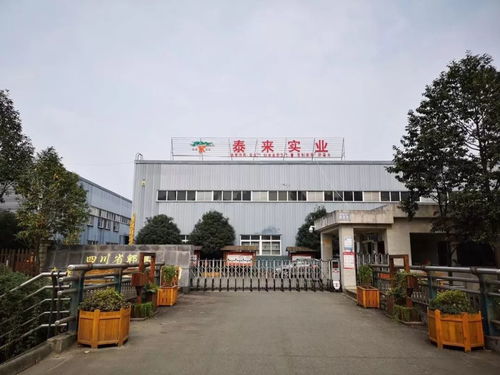 专访泰来木业陈总 忆峥嵘岁月稠,看今朝重任在肩头