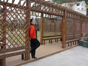 我的眼里只有你 11.12金斗观照片